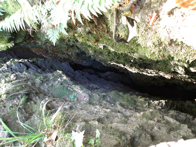 Strážovské vrchy