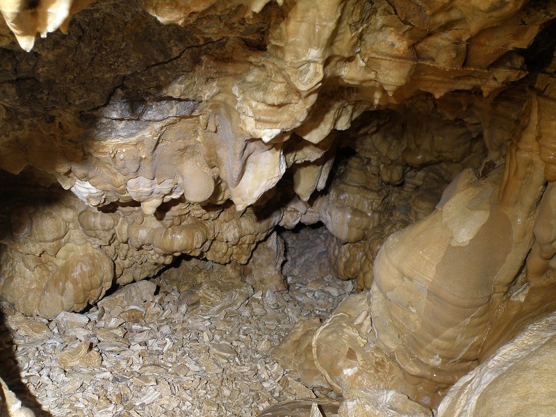Strážovské vrchy