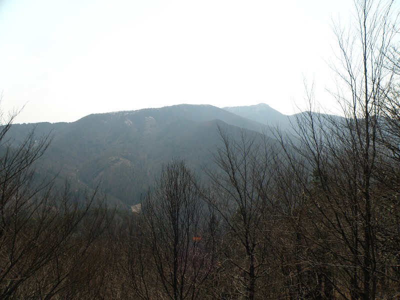 Strážovské vrchy