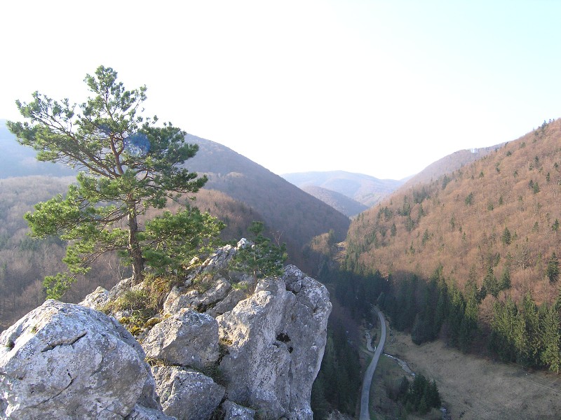 Strážovské vrchy