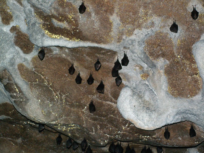 Strážovské vrchy