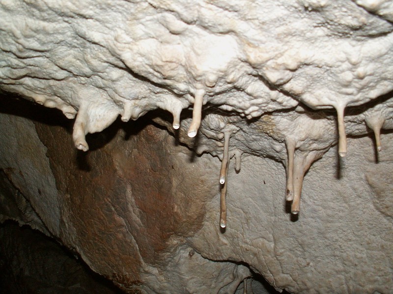 Strážovské vrchy